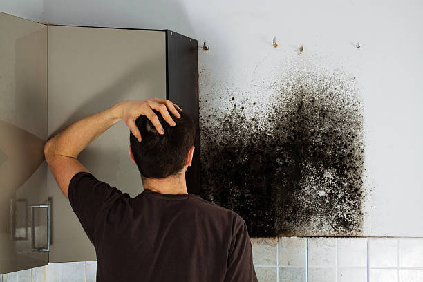 Man shocked to mold a kitchen cabinet. Man shocked to mold a kitchen cabinet. spore photos stock pictures, royalty-free photos & images