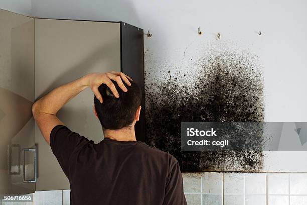 Man Shocked To Mold A Kitchen Cabinet Stock Photo - Download Image Now - Fungal Mold, Removing, Allergy