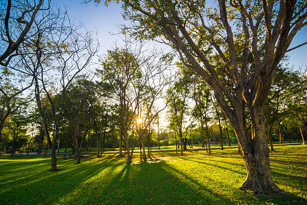 istock City park under blue sky sun light 506716732