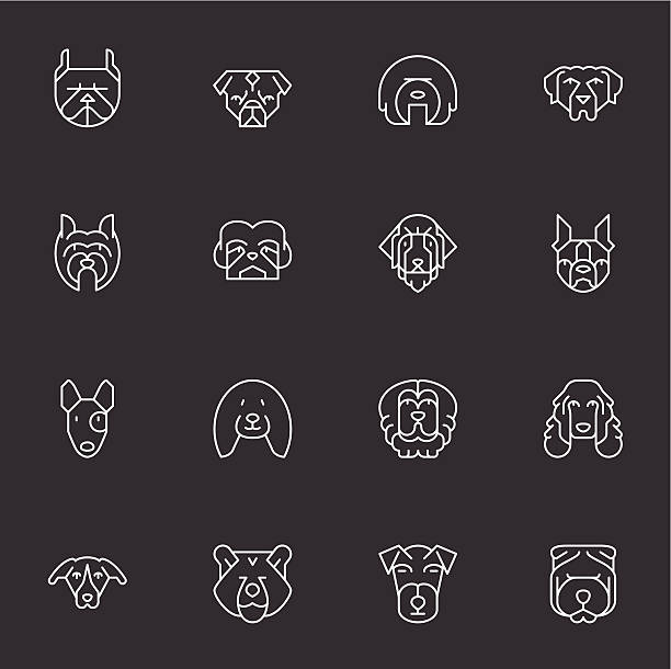 hunde kopf icons/2-leichte weiße - dog malamute sled dog bulldog stock-grafiken, -clipart, -cartoons und -symbole