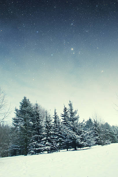 istock winter night in the park. 506717211