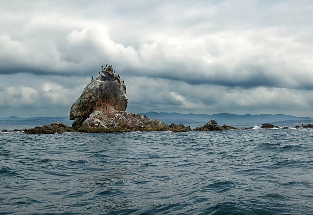 cormorants sitting on the rocks in the storm over the  sea background