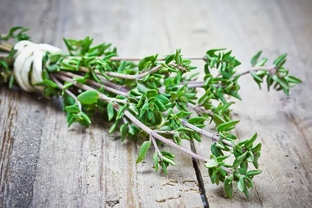 Photo of thyme on wooden table
