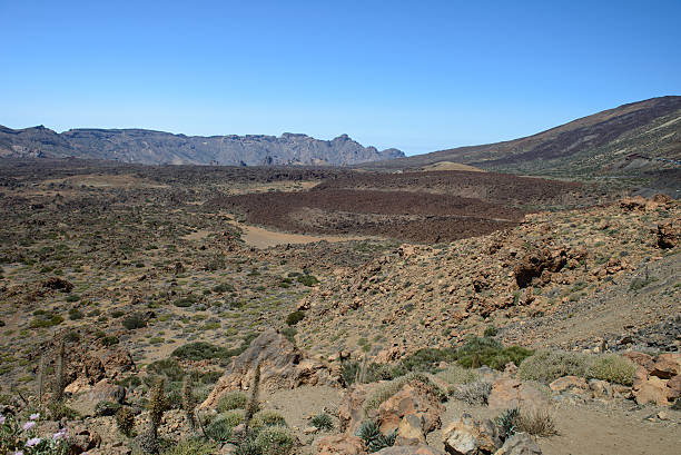 istock Teide volcano on Tenerife, Canary Islands 506724515