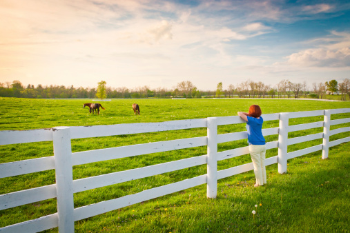 Woman enjoying countryside view with green pastures and horses at evening golden hour.
