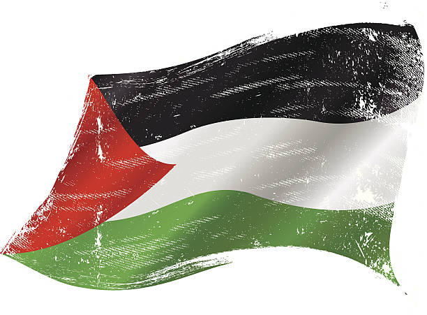 illustrazioni stock, clip art, cartoni animati e icone di tendenza di bandiera del grunge palestinese - safed