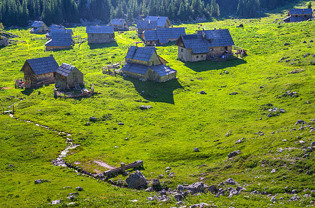 istock Planina v Lazu Alpine Meadow 506729787