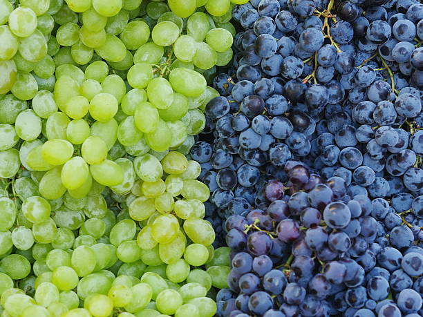 istock market red wine grapes 506731065