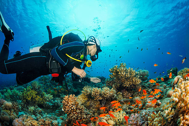 scuba tauchen - deep sea diving stock-fotos und bilder