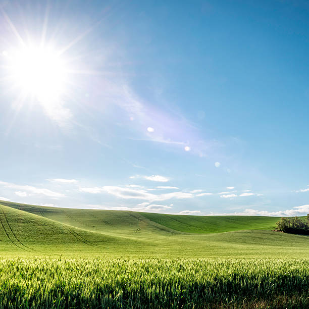 istock The Palouse Rolling Hills (sun & wheat) 506731351