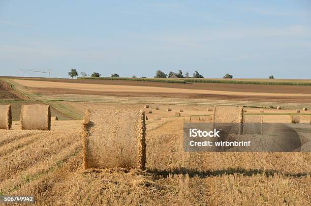 Foto de Strohballen e mais fotos de stock de Agricultura - Agricultura, Colher - Atividade agrícola, Exterior