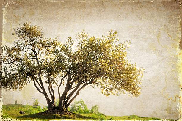 Surreal landscape with single tree in sepia tones