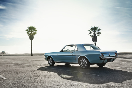Classic blue muscle car on a parking lot close to a beach. Background is: sunny blue sky, two palm trees and sea. 