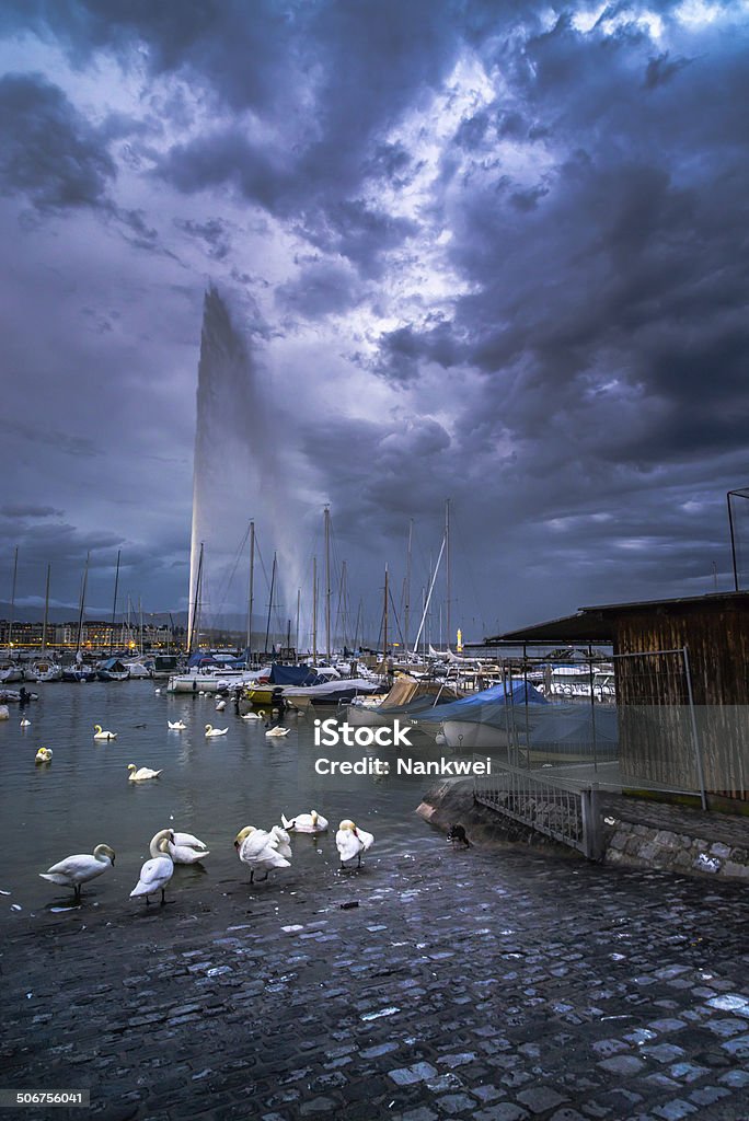 Swan drama paisagens - Foto de stock de Acima royalty-free