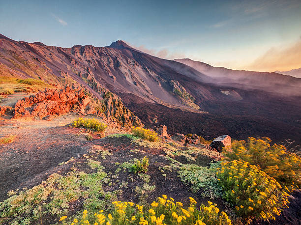 Etna volcano, Sicily Etna Volcano in Sicily, Italy with colorful flowers on foreground mt etna stock pictures, royalty-free photos & images