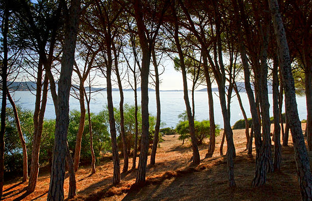 istock View to the sea. 506757363