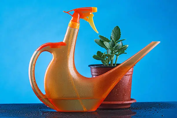 an orange watering/spray can with a plant