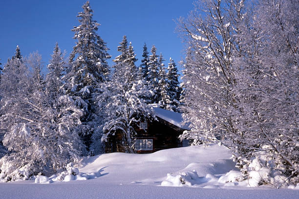 istock Small cabin Surrounded by snowy trees 506758987