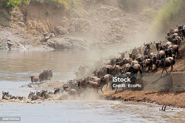 Wildebeest Migration Stock Photo - Download Image Now - Animal Migration, Awe, Africa