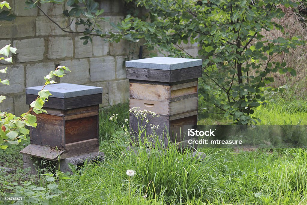 Image of wooden beehives, homemade beehives made from boxes / drawers Photo showing two homemade wooden beehives, which are sheltered at one side of a large orchard, being positioned alongside fruit trees and next to a protective brick wall.  The beehives are shown here in the middle of summer, with their honey bees are in full action, gathering pollen from the wealth of surrounding flowers.  These beehives have been made using interlocking wooden boxes and drawers. Agricultural Equipment Stock Photo