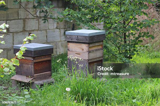 Image Of Wooden Beehives Homemade Beehives Made From Boxes Drawers Stock Photo - Download Image Now