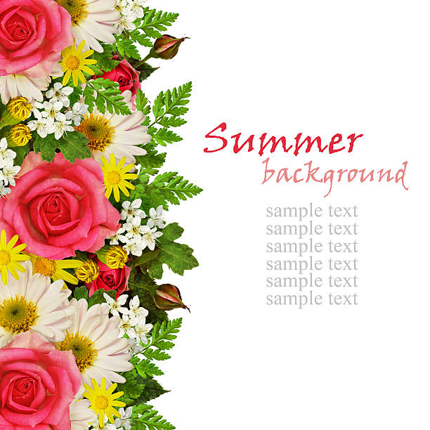 istock Rose, asters and wild flowers decoration for background 506763748