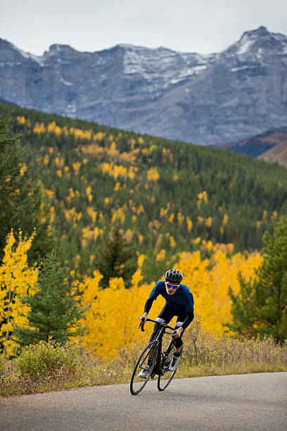 corrida de estrada - usa action adventure aspen tree imagens e fotografias de stock