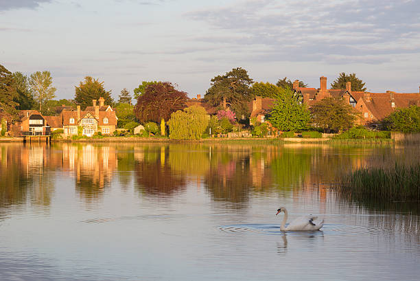 пруд болье осень лебедь - hampshire стоковые фото и изображения