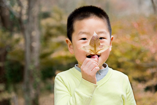 Little boy holding a maple leaf.