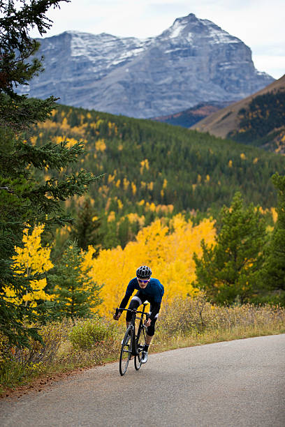 road bicyclist - usa action adventure aspen tree fotografías e imágenes de stock