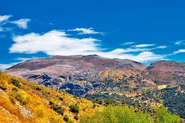 istock Andalusian landscape in august. 506785336