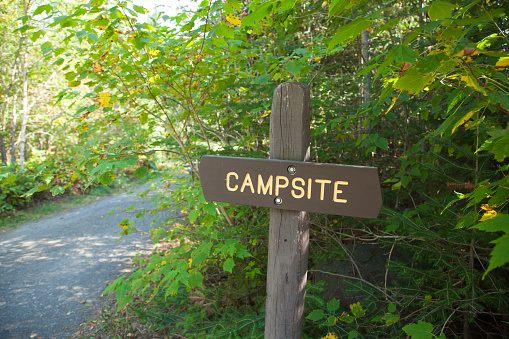 A Minnesota Department of Natural Resources campsite sign near a lake in northern Minnesota