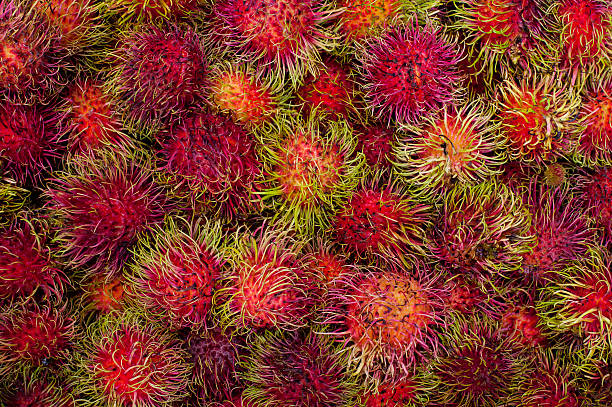 Rambutan fruits