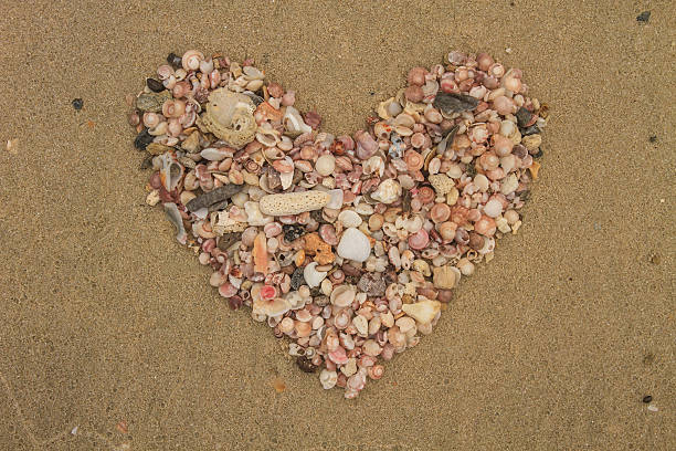 istock Heart made of sea shells lying on a beach sand 506793883