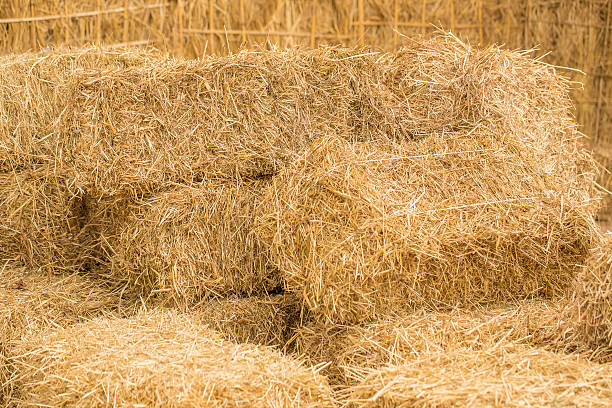 istock pile of straw 506794156
