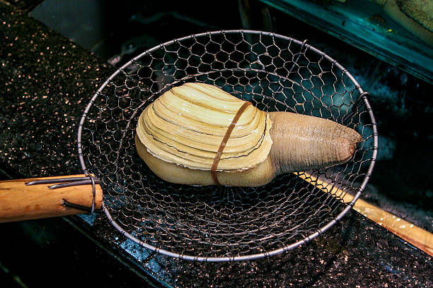 Pacific Giant Clam (Geoduck) Pacific giant clam (geoduck) before being cooked in a fish restaurant in Dalian, China. shenyang stock pictures, royalty-free photos & images