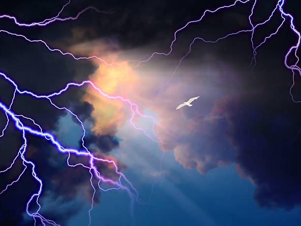Faith Storm rages about little white bird flying toward sunlight lightning rain thunderstorm storm stock pictures, royalty-free photos & images