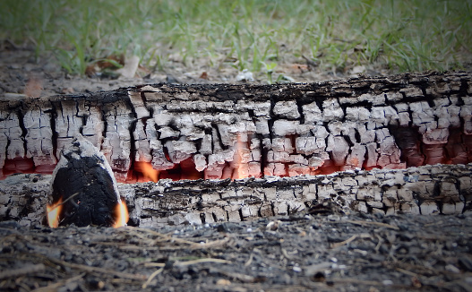 Wooden logs burning on green grass closeup 