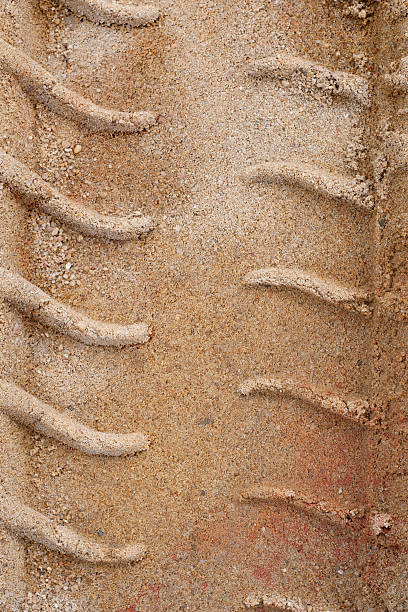 Tire Tracks in the Sand