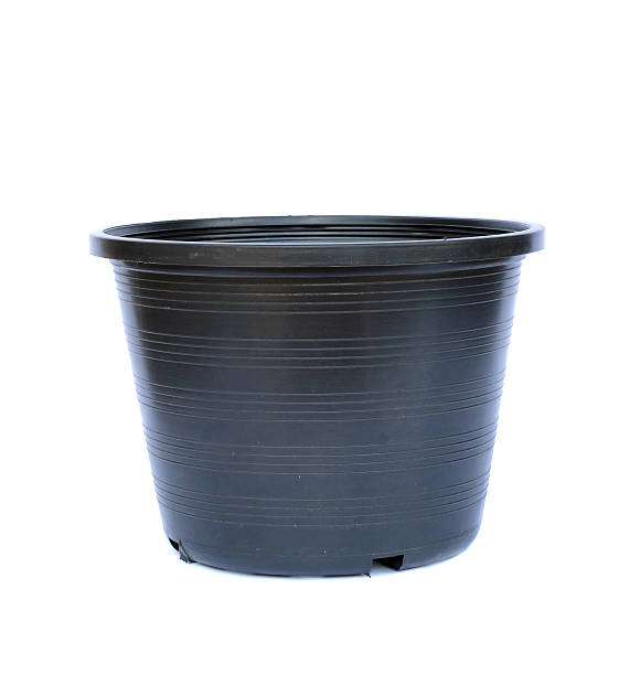 istock Image of plant pots black 506796883