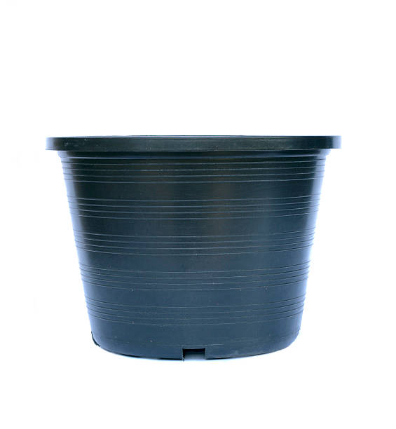 istock Image of plant pots black 506796913