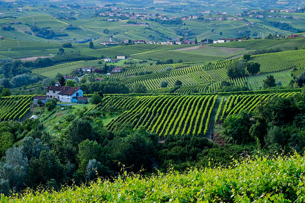 istock PAnoramic view of Langhe hills 506797087