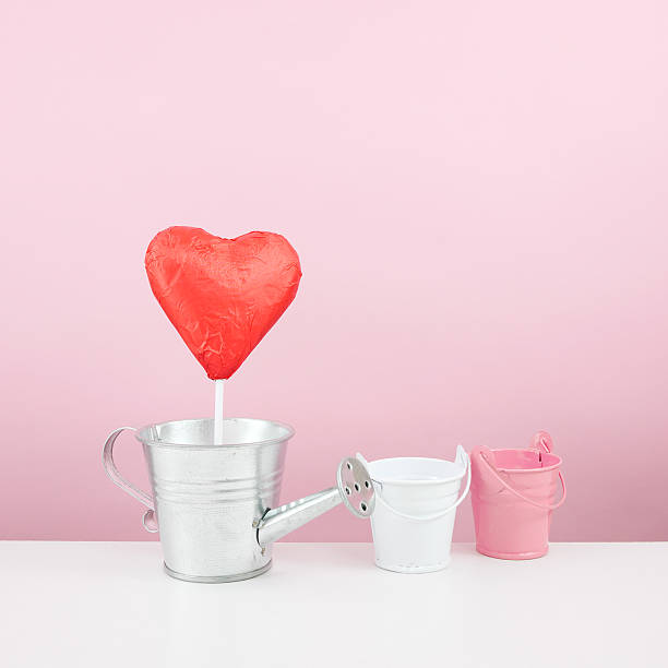 istock The red foiled chocolate heart stick with small watering can 506798382
