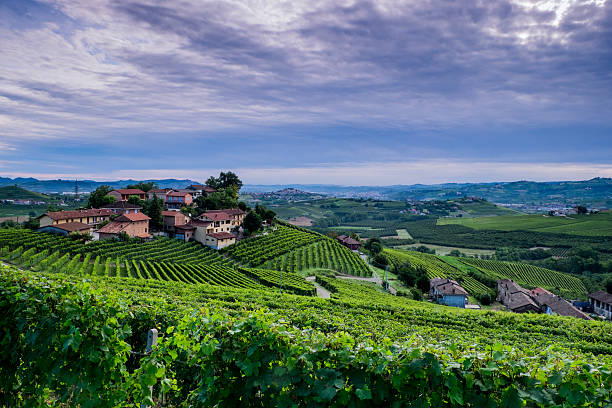 istock Panoramic view of a village in the vineyards 506798785