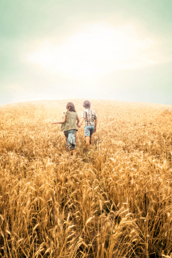 children running into wheat to the sunset in summer