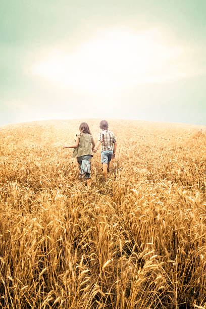 crianças diversão em um campo de trigo ao pôr do sol - child rear view running nature imagens e fotografias de stock