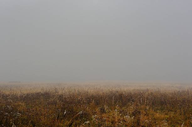 istock Thick Fog over Field in Indian Summer 506800161