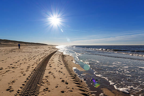 Tire tracks on the beach