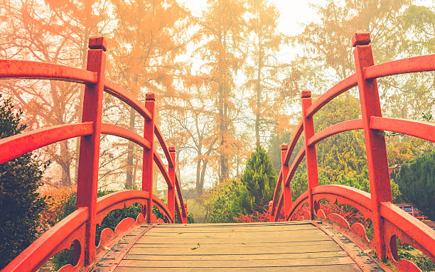 istock Red wooden bridge in soft light 506814578