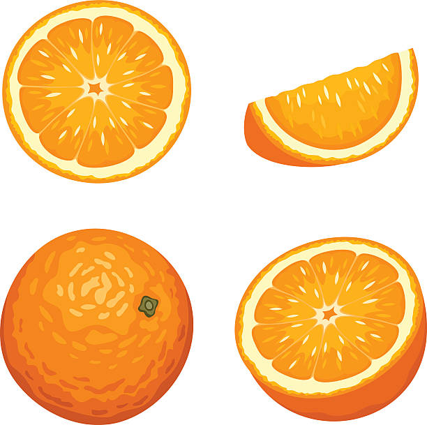ganze und geschnittene orange früchte isoliert auf weiß. vektor-illustration. - orange stock-grafiken, -clipart, -cartoons und -symbole